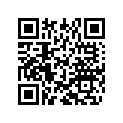 800040585 Lever