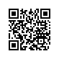800040924 Washer