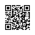 800042955 Lever
