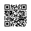 800077360 O-ring