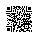 800081164 O-ring