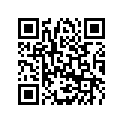 800082943 Lever