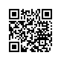 800083111 Lever