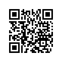 800084404 Needle, Jet 6h11/3