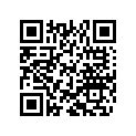 800095332 Graphic Set