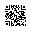 800096960 Chain Shoe