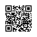 800097050 Wrist Pin