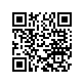 8000H4016 Layshaft
