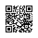 8000H5343 Usb Key