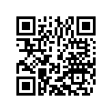 80013058000 Special Washer              04