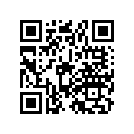 80100-397-631ZF *80100-397-631zz (mat Black)