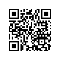 80107-463-300 Stripe, l. rr.