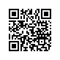 801285906 13321285906 PLUG