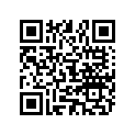 801331625 11211331625 SHAFT