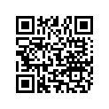 801331690 O RING