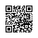 801763705 11651763705 INSER