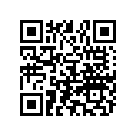 801763982 17111763982 SHIM