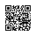 803513009 O RING