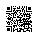 803513010 O RING
