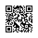 803520 RING-OIL-STD