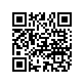 803758001 GUIDE-RUBBER