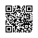 803789 LEVER