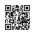 804055 PLATE-SUPPORT