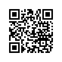 804166 O RING
