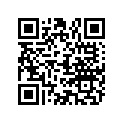 804285 WIRE
