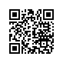 804338 LEVER