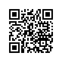 80472-750-881 WASHER