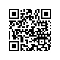804858A03 DECAL SET