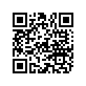 804858A06 DECAL SET