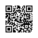 805382T01 TOOL-EXTENSION