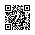 807-14617-00-00 Шайба