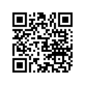807670 GASKET