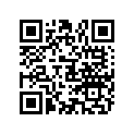 807672 GASKET