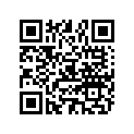 809963308 O RING