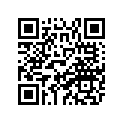 80E-77169-00-00 Ornament 3
