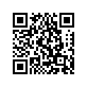 80X-77163-00-00 Ornament 1