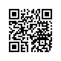 810-77164-00-00 ORNAMENT 2