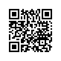 81134-GJB-J00ZB POCKET, R. *NH187R*