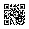 81162-963-000 PLATE,BAG