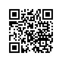 81250-463-891ZD Bag,r up*nh-1/ty2