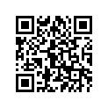 81A-77163-00-00 ORNAMENT 1