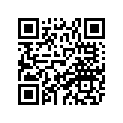 81A-77169-00-00 Ornament 3
