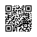 81E-17623-00-00 Cam