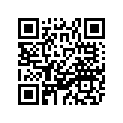 81E-23851-00-00 Arm, Outside 1