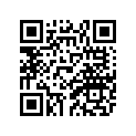 81G-77113-00-00 Ornament 4