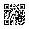 81G-77164-00-00 Ornament 2